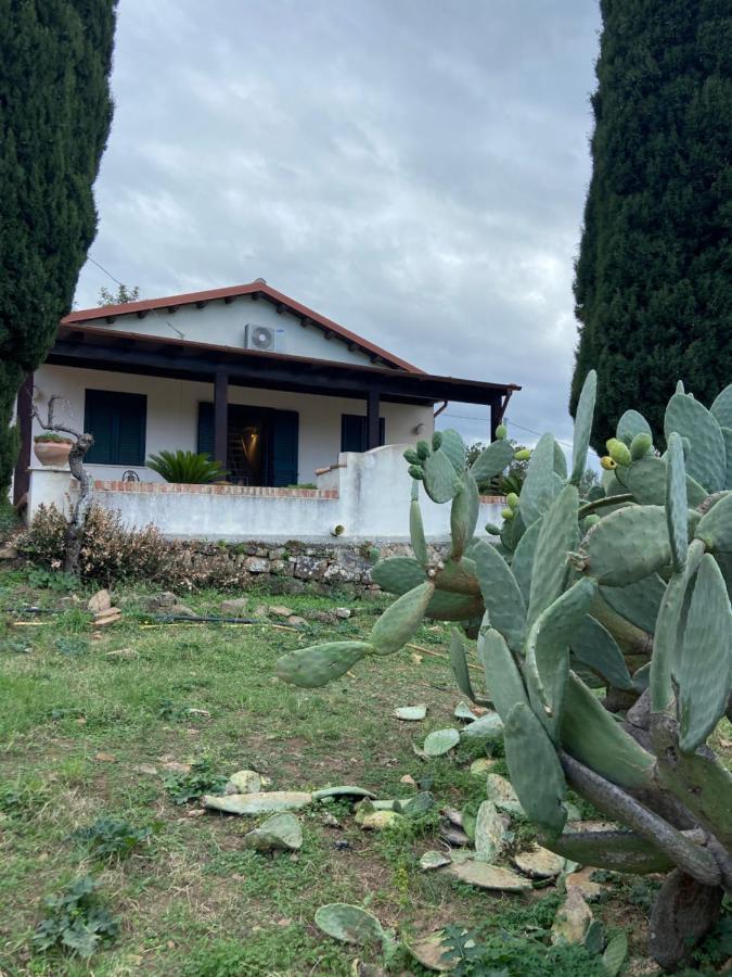 Villa Al Presti, Vacanze In Pieno Relax Cefalù Exterior foto