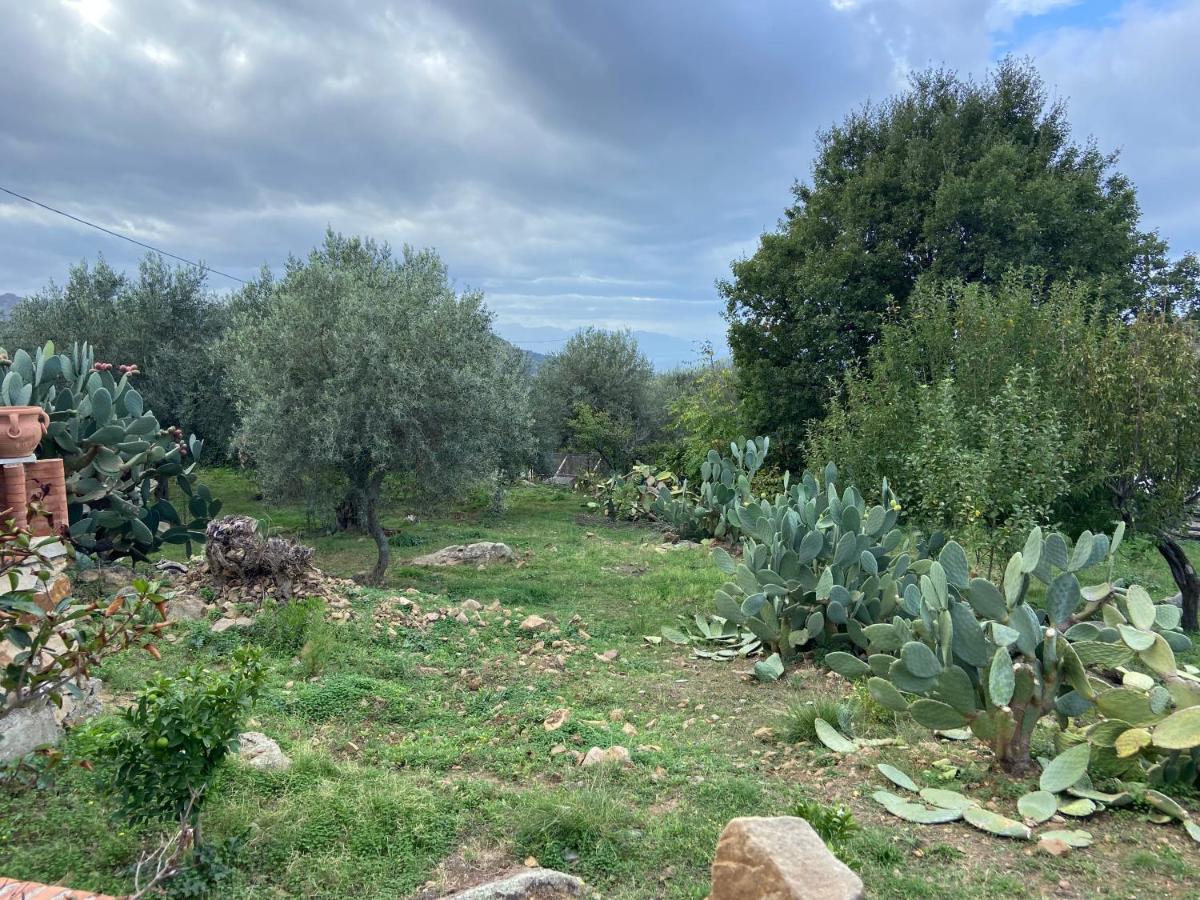Villa Al Presti, Vacanze In Pieno Relax Cefalù Exterior foto